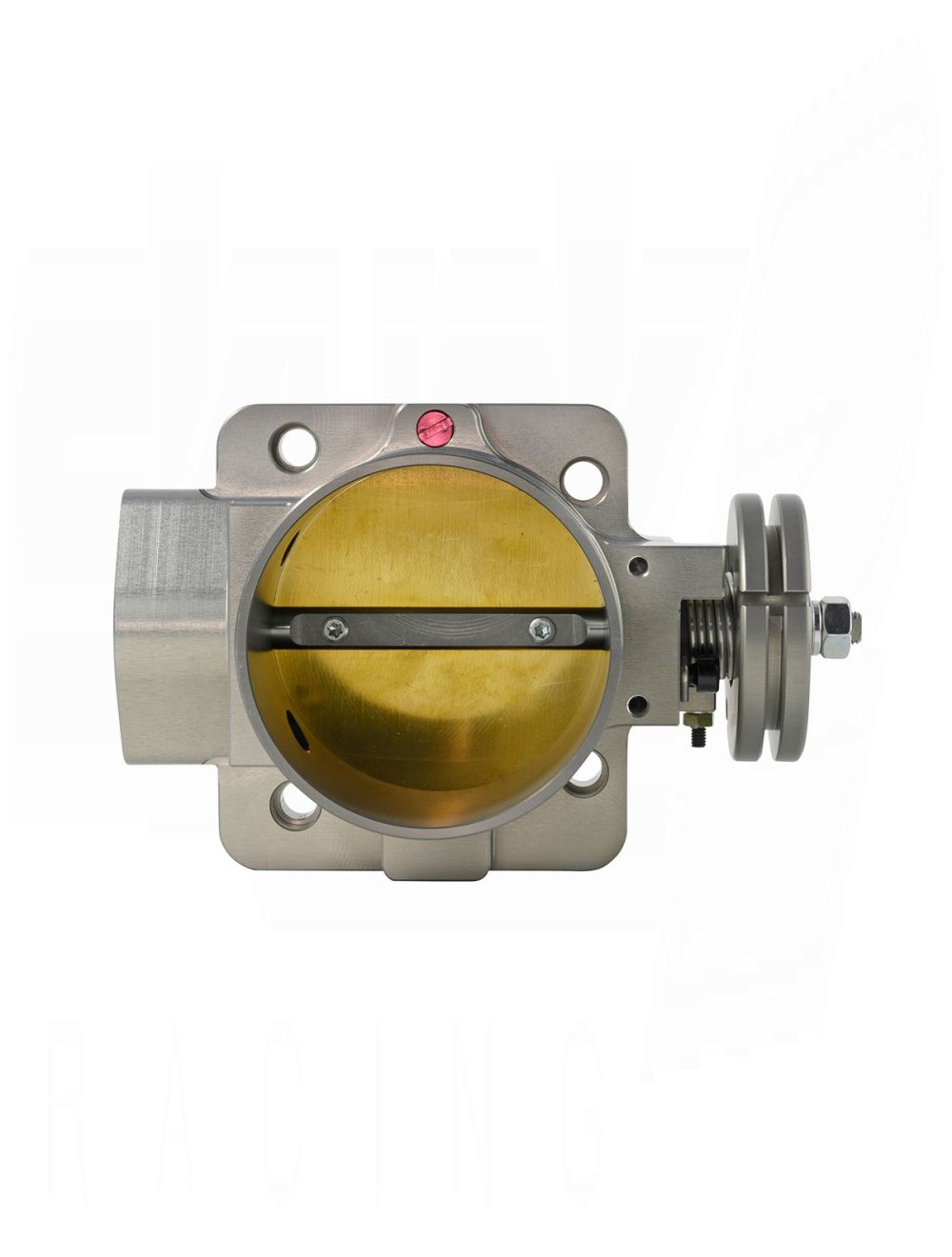 Skunk2 PRO THROTTLE BODY - B/D/F/H SERIES - 74MM