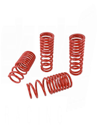 SKUNK2 LOWERING SPRINGS (ACURA)