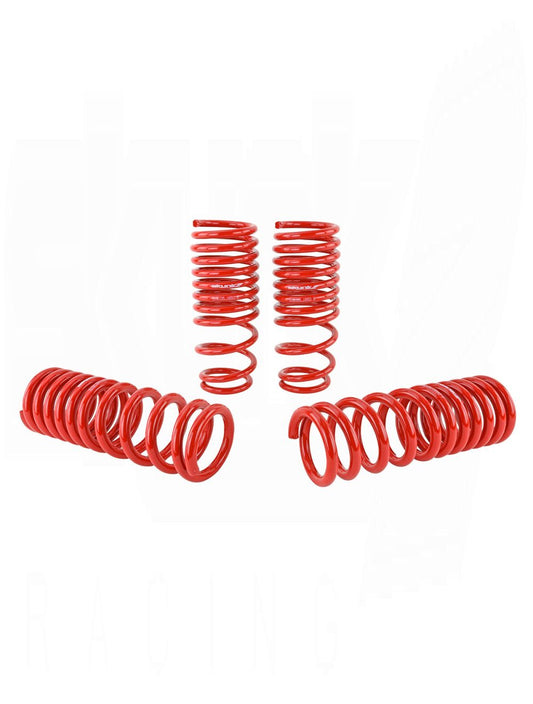 SKUNK2 LOWERING SPRINGS (HONDA)