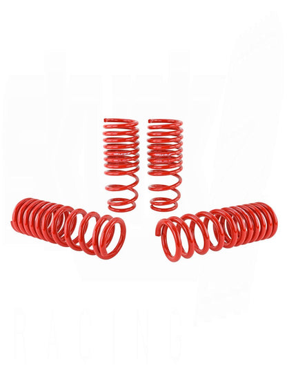 SKUNK2 LOWERING SPRINGS (ACURA)