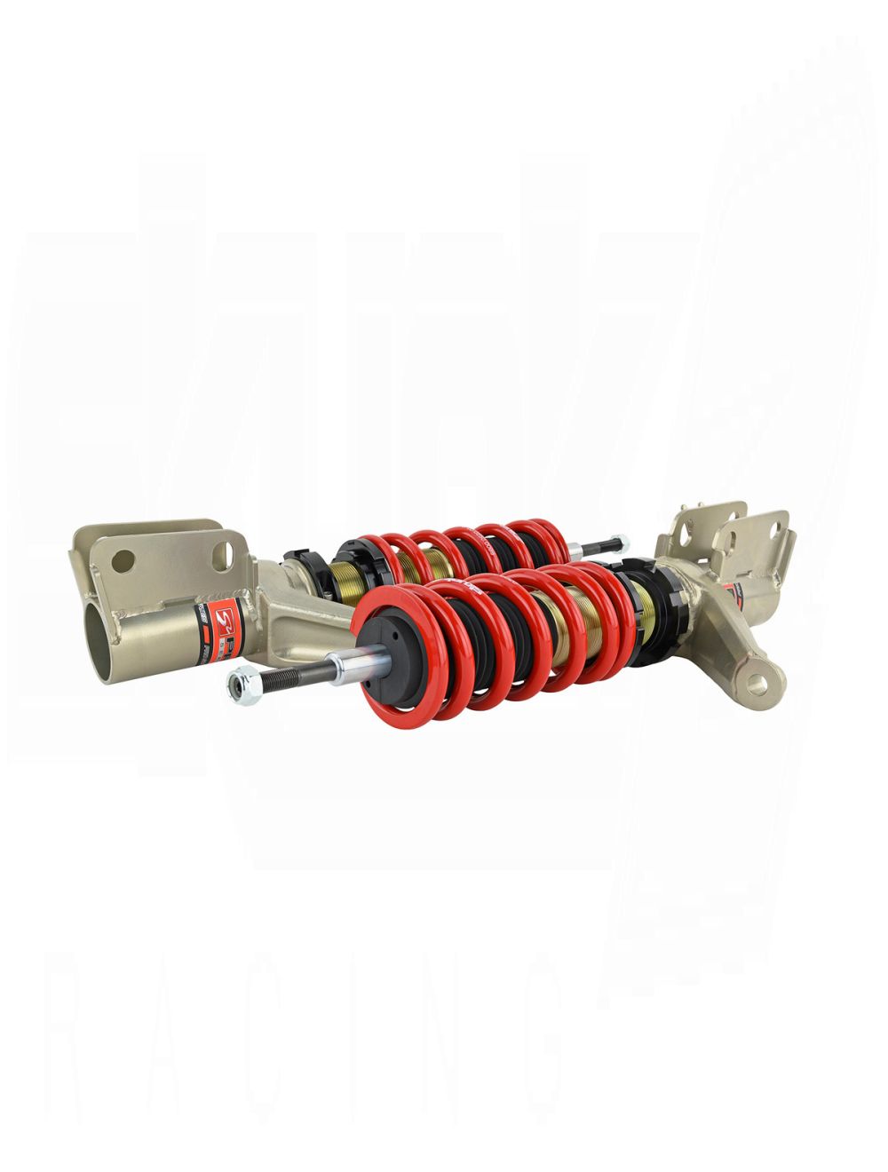 SKUNK2 PRO S V2 FULL COILOVER KIT (RSX)