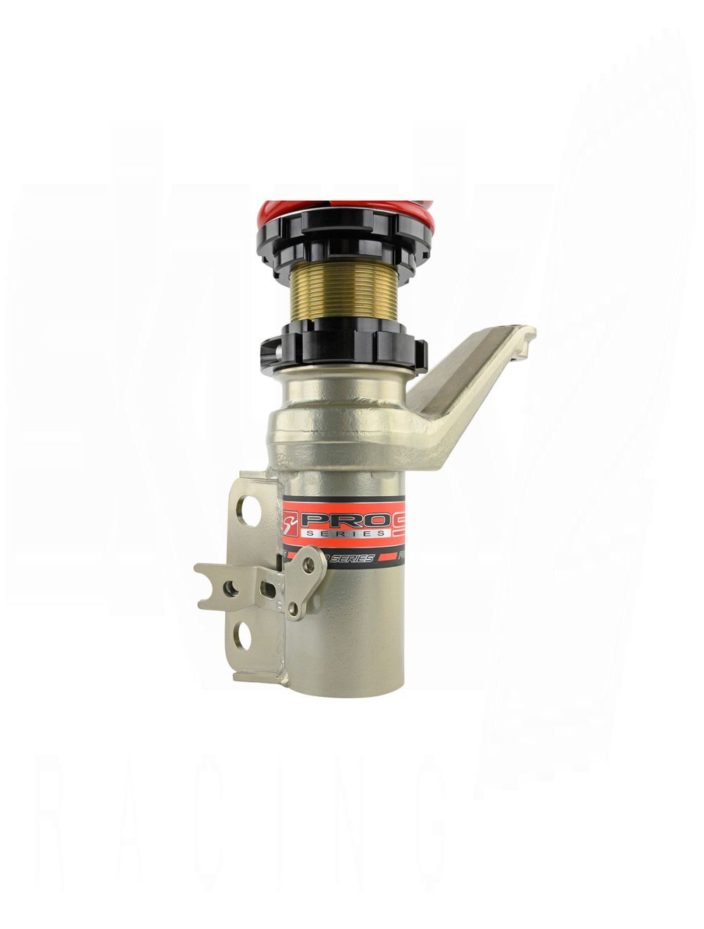 SKUNK2 PRO S V2 FULL COILOVER KIT (Civic 01-05)