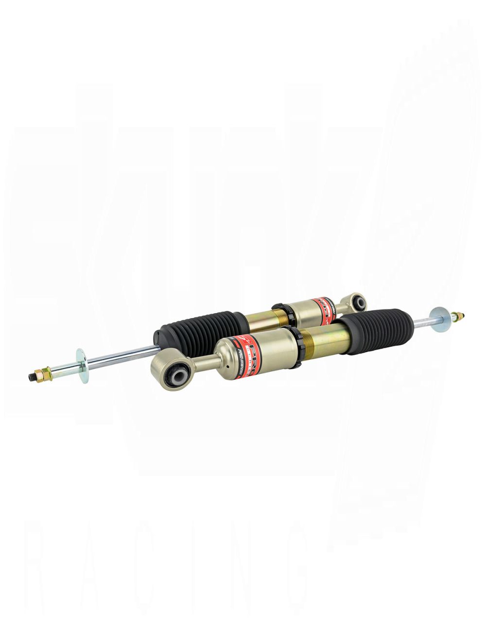SKUNK2 PRO S V2 FULL COILOVER KIT (Civic 06-11)