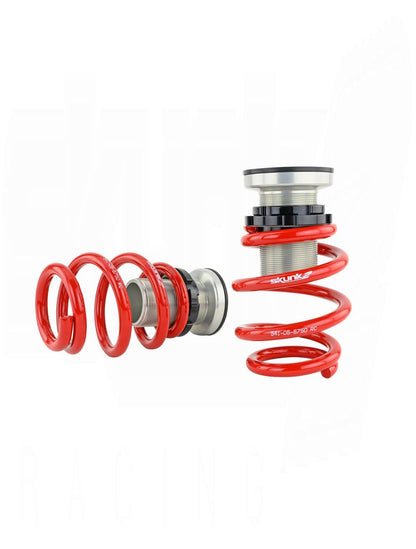 SKUNK2 PRO S V2 FULL COILOVER KIT (Civic 06-11)
