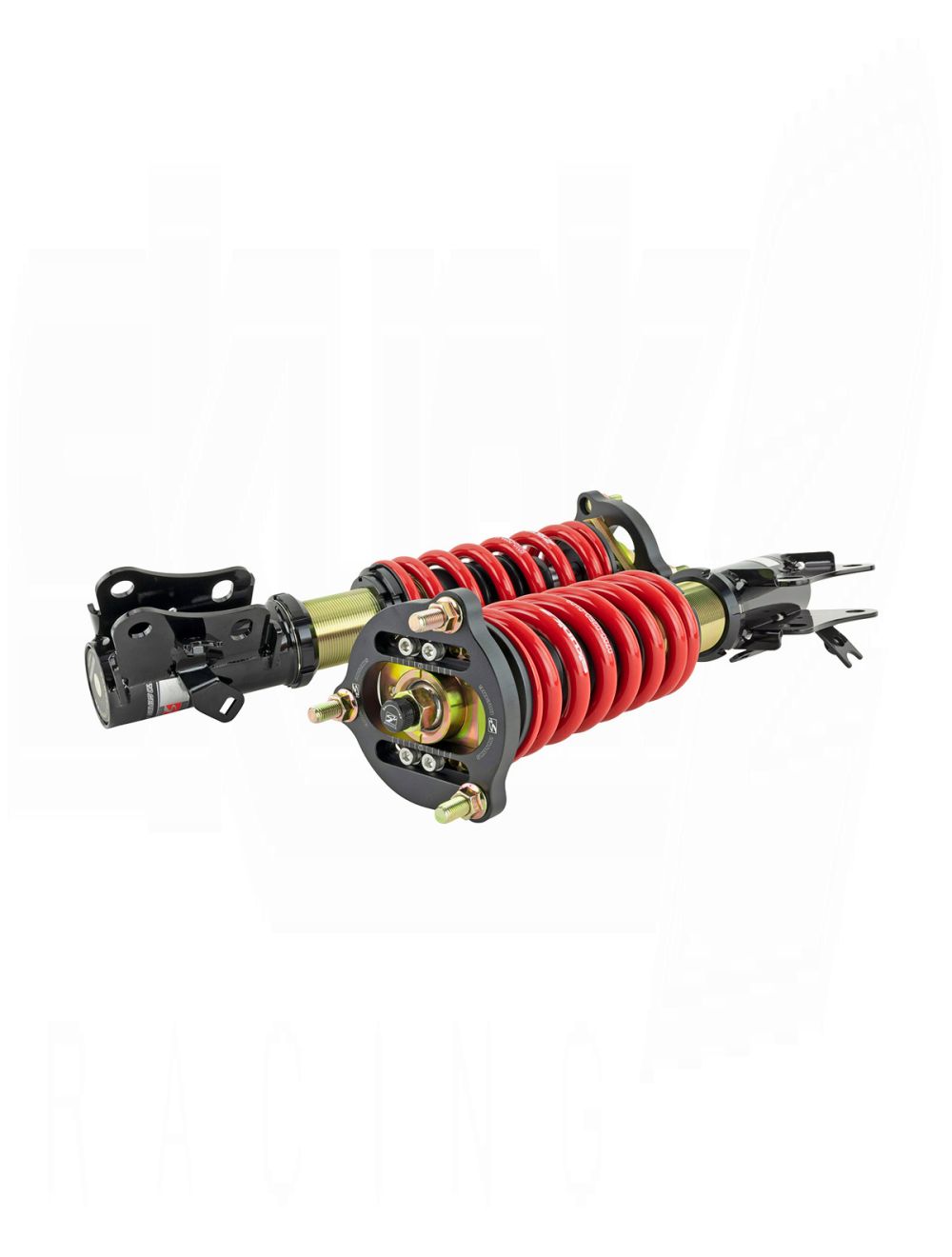 SKUNK2 PRO ST FULL COILOVER KIT (Civic 06-11)
