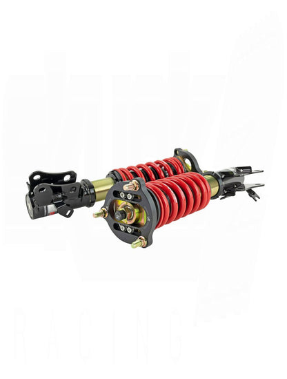 SKUNK2 PRO ST FULL COILOVER KIT (Civic 06-11)