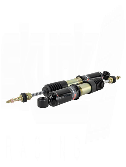 SKUNK2 PRO-ST FULL COILOVER KIT (Civic Type-R 17-20)