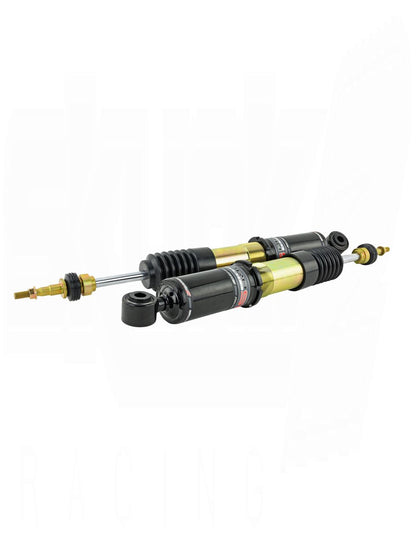 SKUNK2 PRO-ST FULL COILOVER KIT (Civic Sport 17-20)
