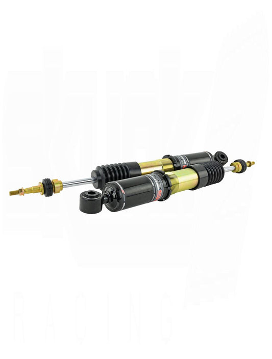 SKUNK2 PRO-ST FULL COILOVER KIT (Civic Sport 17-20)