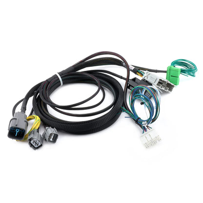 Hybrid Racing K-Swap Conversion Harness (Honda Civic 99-00)