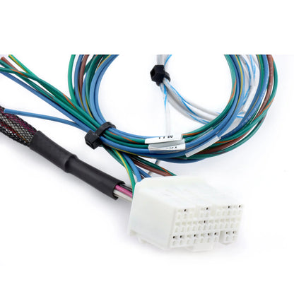 Hybrid Racing K-Swap Conversion Harness (Honda Civic 99-00)
