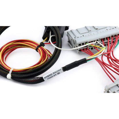 Hybrid Racing K-Swap Conversion Harness (Honda Civic 01-05)