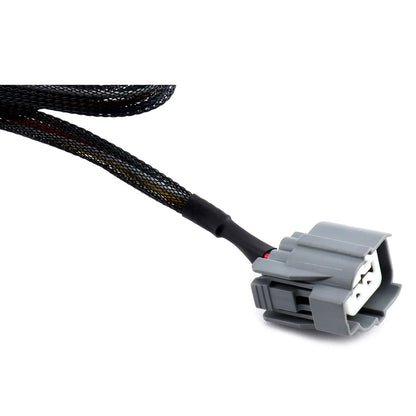 Hybrid Racing K-Swap Conversion Harness (Universal)
